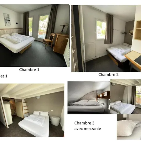 Hotel Le Chalet - Piscine 1 - 5 Pieces Pour 12 Personnes
